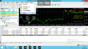 仓鼠EA优化版,Hamster Scalping EA,可以实盘的头皮,带使用说明-左右先生